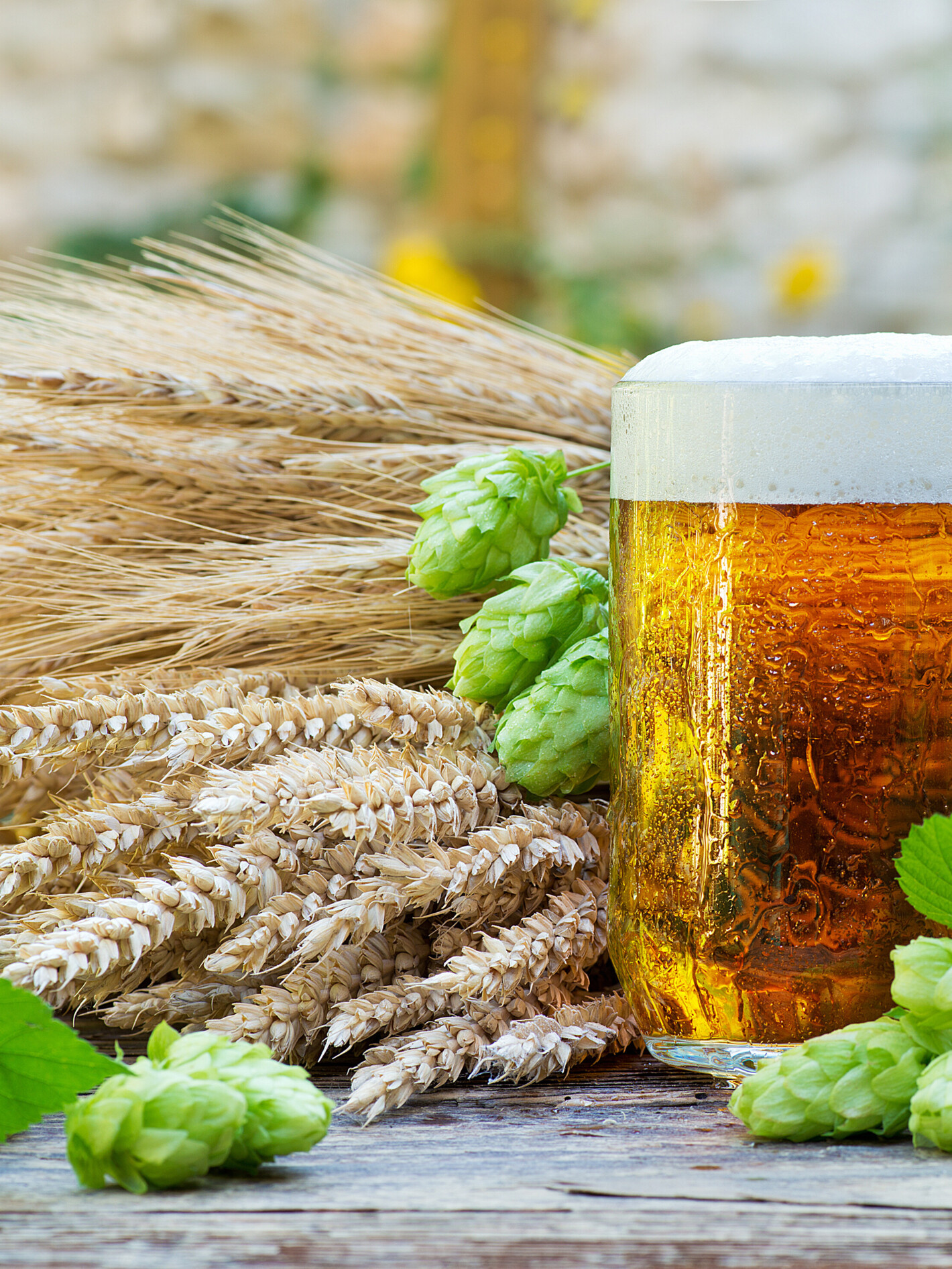 Einkauf Brüggemann­Alcohol