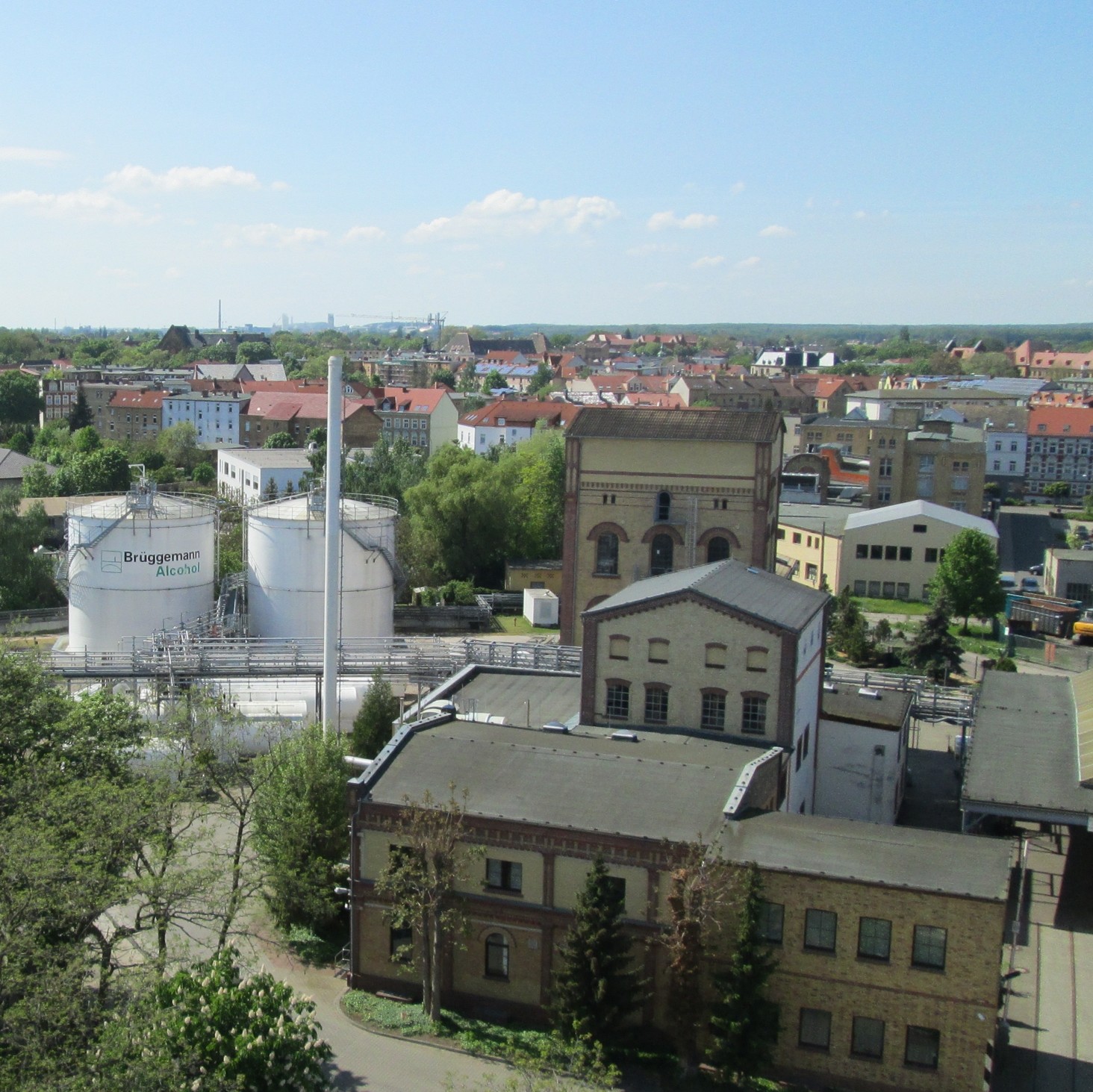 Standort Wittenberg von der Seite